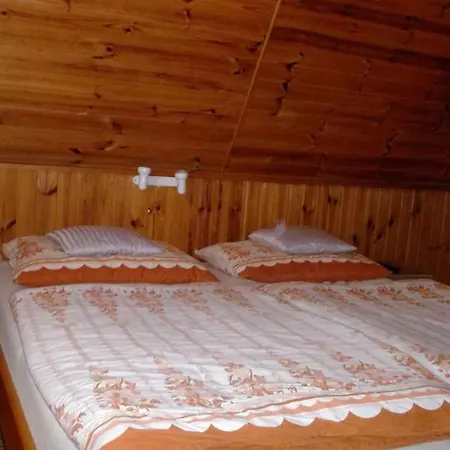 منزل ريفي In - Erzgebirge 1694 *
